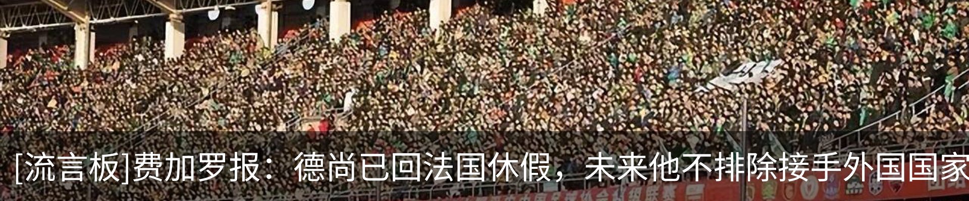 最新动态